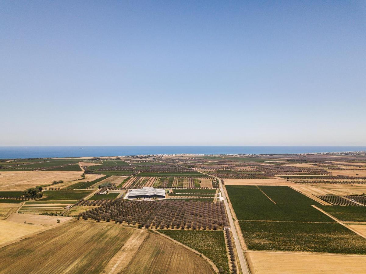 Masseria Torleanzi Wine Relais San Pietro Vernotico Exterior foto
